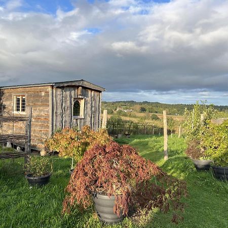 Luxury Shepherd'S Hut Style Cabin With Views Villa เฮริฟอร์ด ภายนอก รูปภาพ