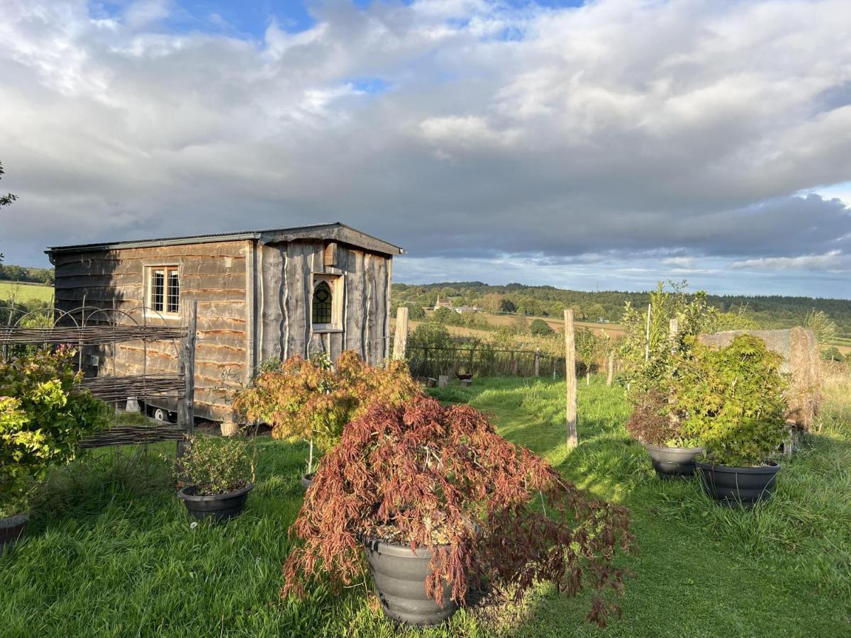 Luxury Shepherd'S Hut Style Cabin With Views Villa เฮริฟอร์ด ภายนอก รูปภาพ